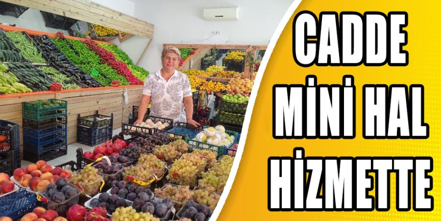 CADDE MİNİ HAL HİZMETTE