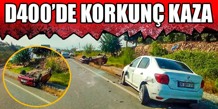 YOLA ÇIKAN KÖPEK KAZAYA NEDEN OLDU