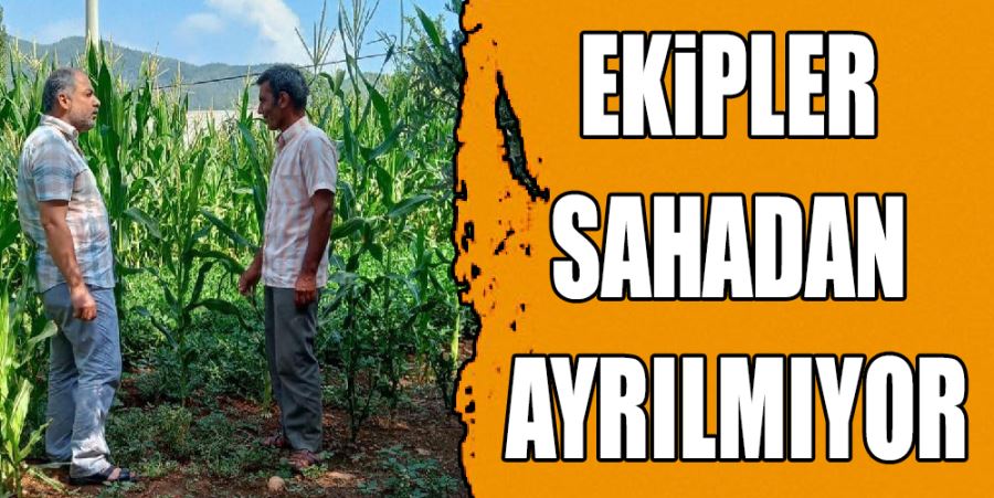 EKİPLER SAHADAN AYRILMIYOR