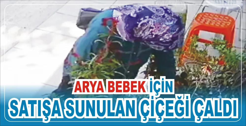 ARYA BEBEK İÇİN SATIŞA SUNULAN ÇİÇEĞİ ÇALDI 