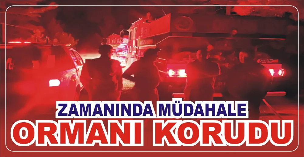ZAMANINDA MÜDAHALE ORMANI KORUDU