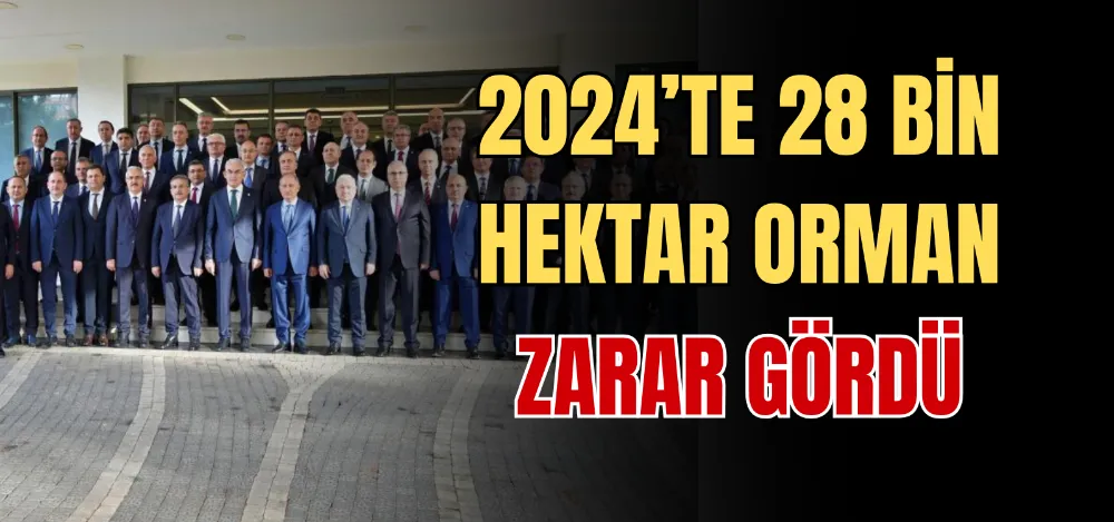 2024’TE 28 BİN HEKTAR ORMAN ZARAR GÖRDÜ 