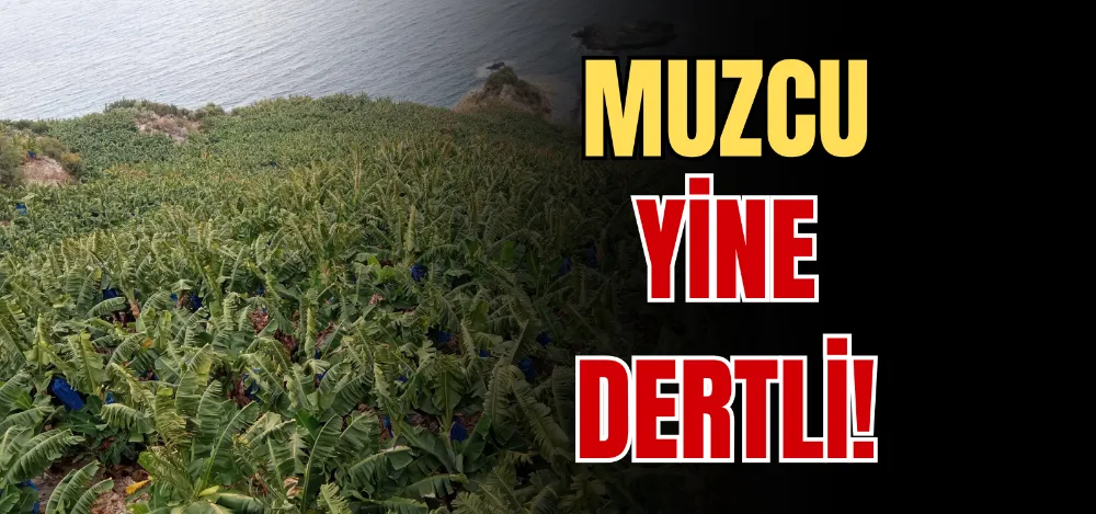 MUZCU YİNE DERTLİ! 