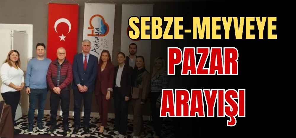 SEBZE-MEYVEYE PAZAR ARAYIŞI 