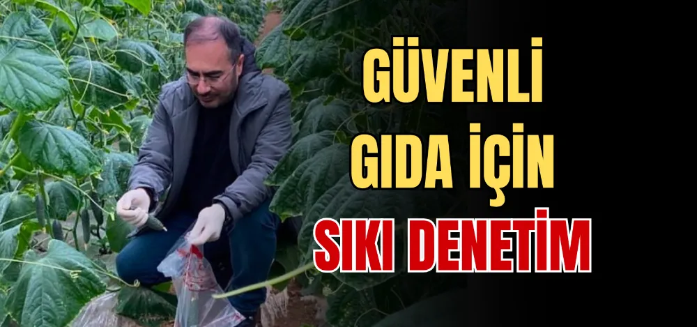 GÜVENLİ GIDA İÇİN SIKI DENETİM 