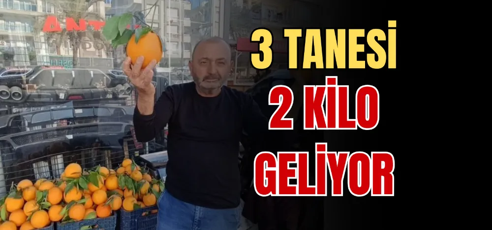 3 TANESİ 2 KİLO GELİYOR 