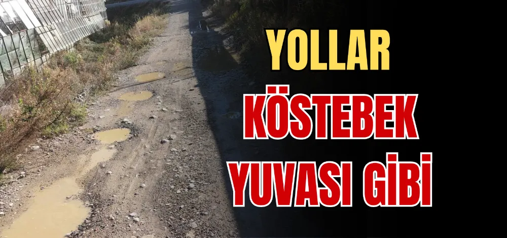 YOLLAR KÖSTEBEK YUVASI GİBİ 