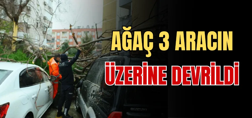 AĞAÇ 3 ARACIN ÜZERİNE DEVRİLDİ 