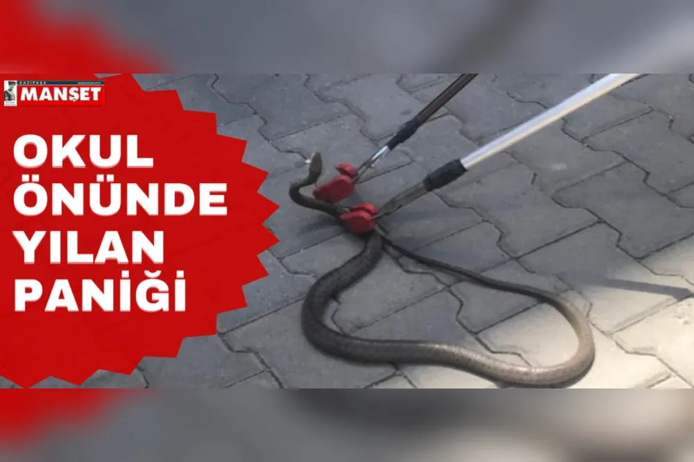 OKUL ÖNÜNDE YILAN PANİĞİ