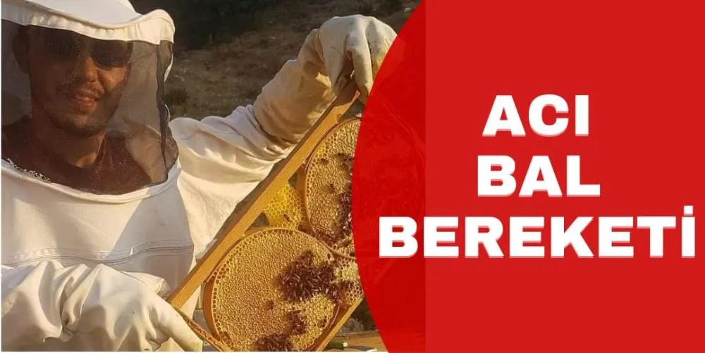ACI BAL BEREKETİ