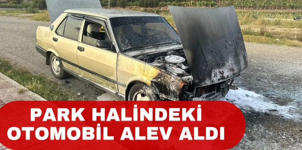 PARK HALİNDEKİ OTOMOBİL ALEV ALDI