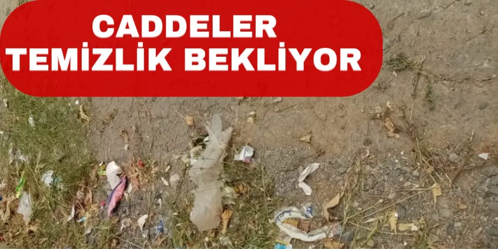 CADDELER TEMİZLİK BEKLİYOR