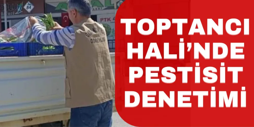 TOPTANCI HALİ