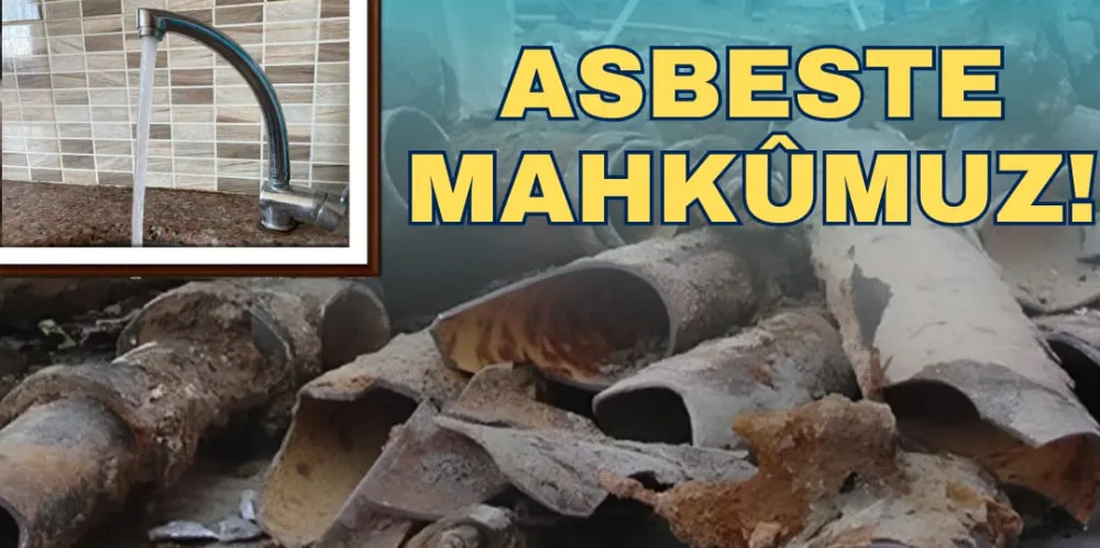 ASBESTE MAHKÛMUZ!