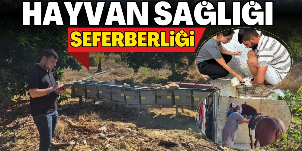 HAYVAN SAĞLIĞI SEFERBERLİĞİ