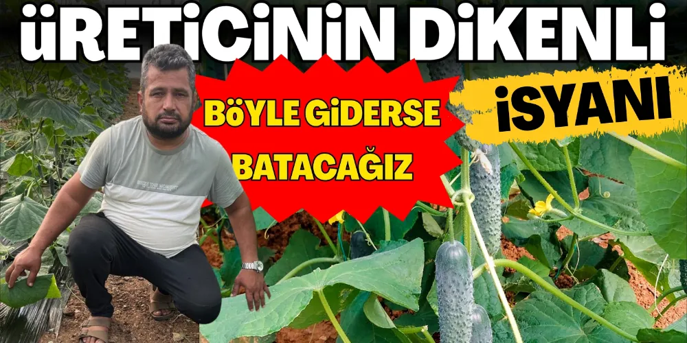 BÖYLE GİDERSE BATARIZ