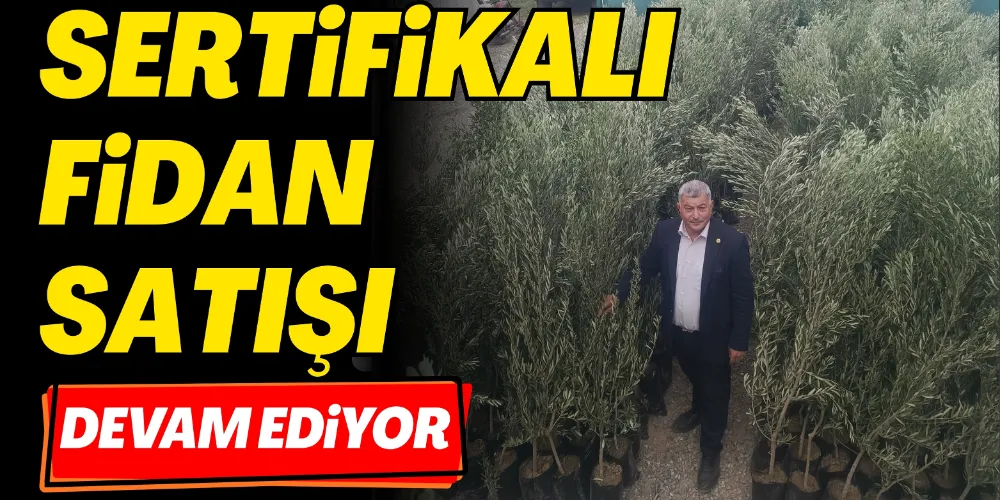 SERTİFİKALI FİDAN SATIŞI DEVAM EDİYOR