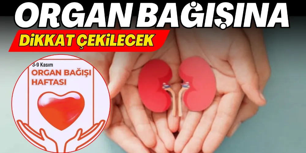 ORGAN BAĞIŞINA DİKKAT ÇEKİLECEK