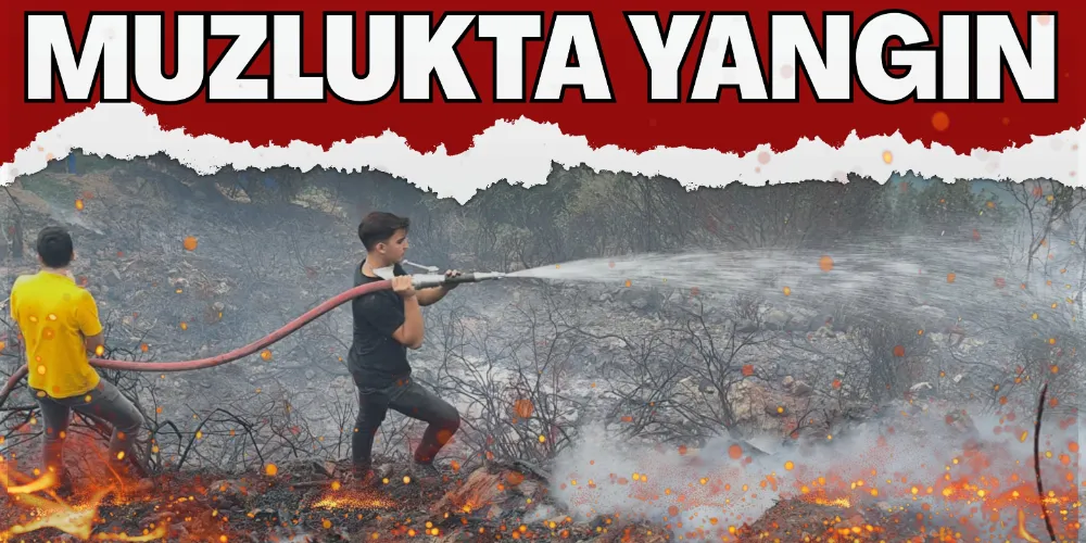 ZEYTİNADA’DA YANGIN PANİĞİ