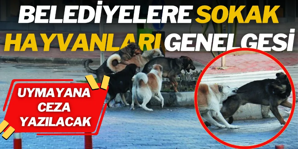 BELEDİYELERE YENİ GENELGE: UYMAYANA CEZA YAZILACAK
