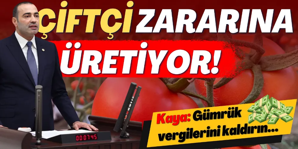 ÇİFTÇİ ZARARINA ÜRETİYOR!