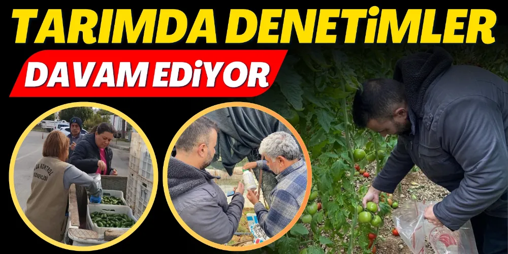 TARIMDA DENETİMLER DAVAM EDİYOR