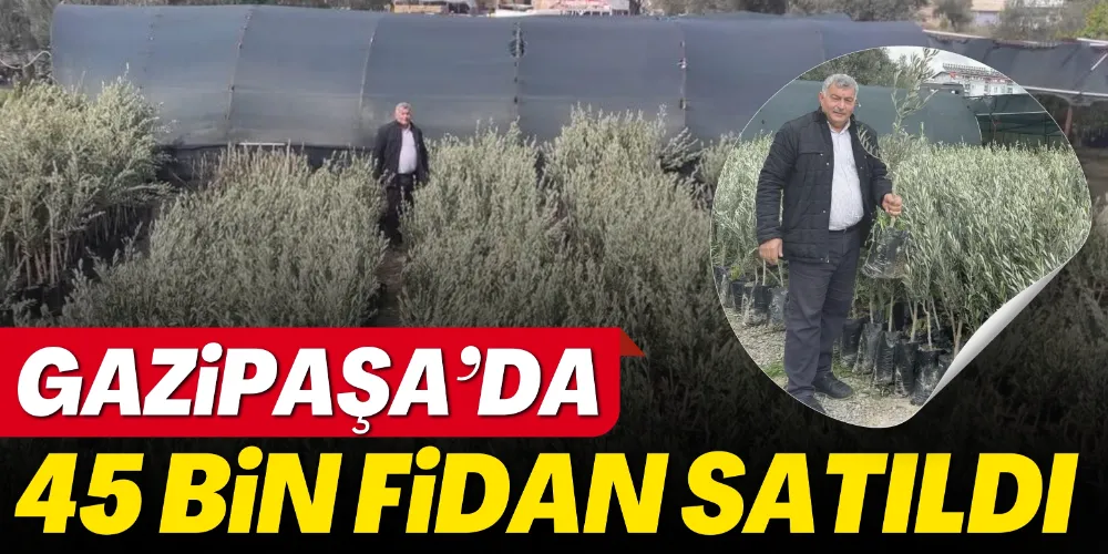 45 BİN FİDAN SATILDI