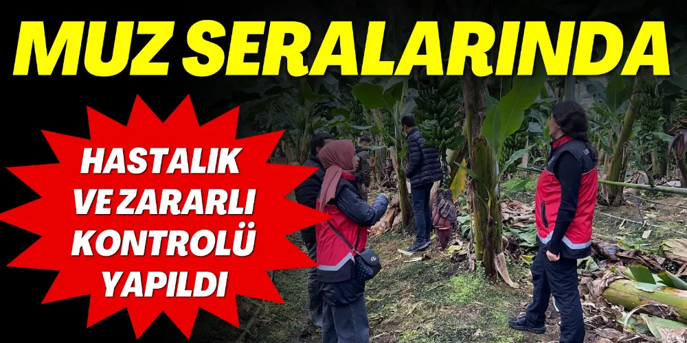MUZ SERALARINDA HASTALIK VE ZARARLI KONTROLÜ YAPILDI