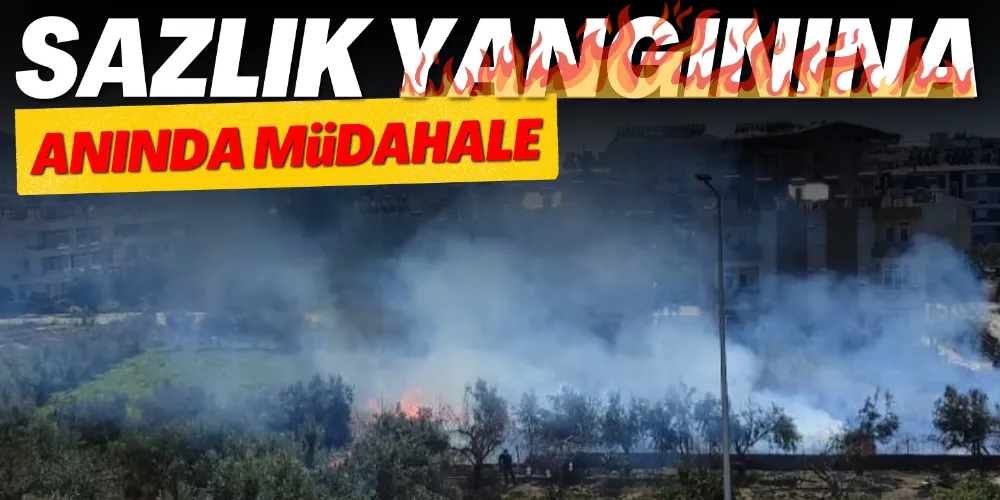 SAZLIK YANGININA ANINDA MÜDAHALE