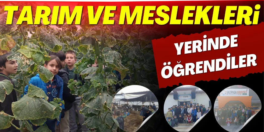 ÖĞRENCİLER TARIM VE MESLEKLERİ YERİNDE ÖĞRENDİ