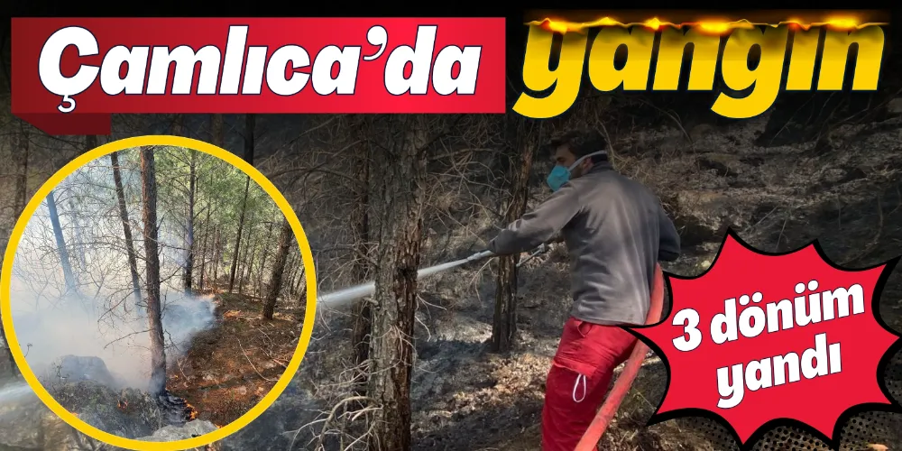 ÇAMLICA’DA YANGIN ÇIKTI