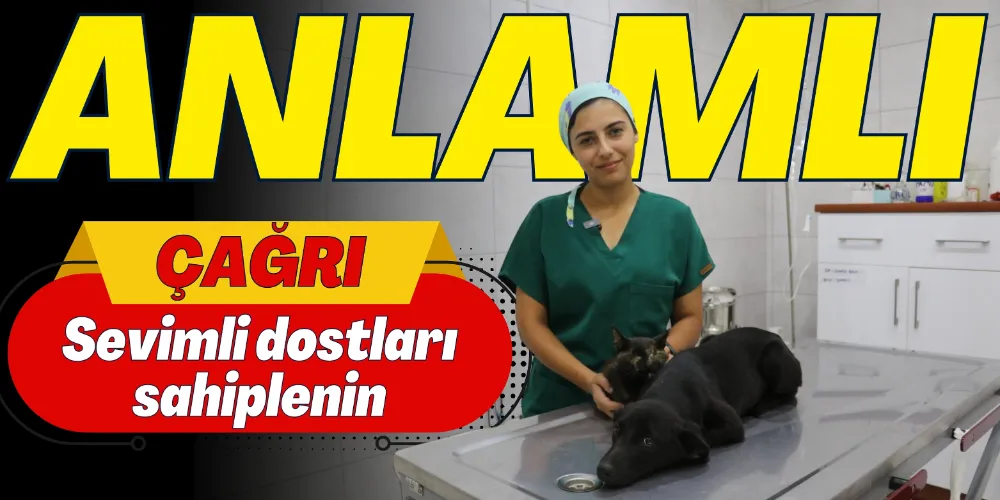 BELEDİYEDEN “SOKAK HAYVANLARINI SAHİPLENİN” ÇAĞRISI