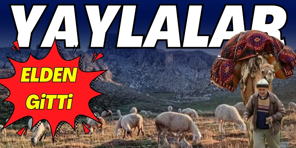 YAYLALAR ELDEN GİTTİ