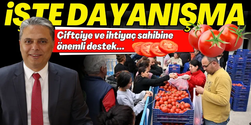 SOSYAL DAYANIŞMA HAMLESİ 