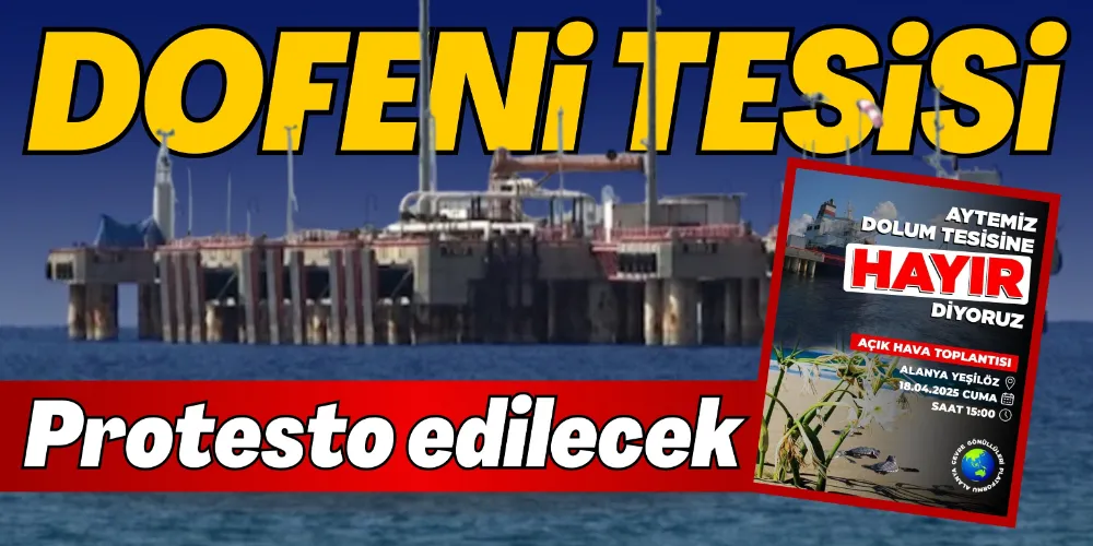 DOLFENİ TEPKİSİ 