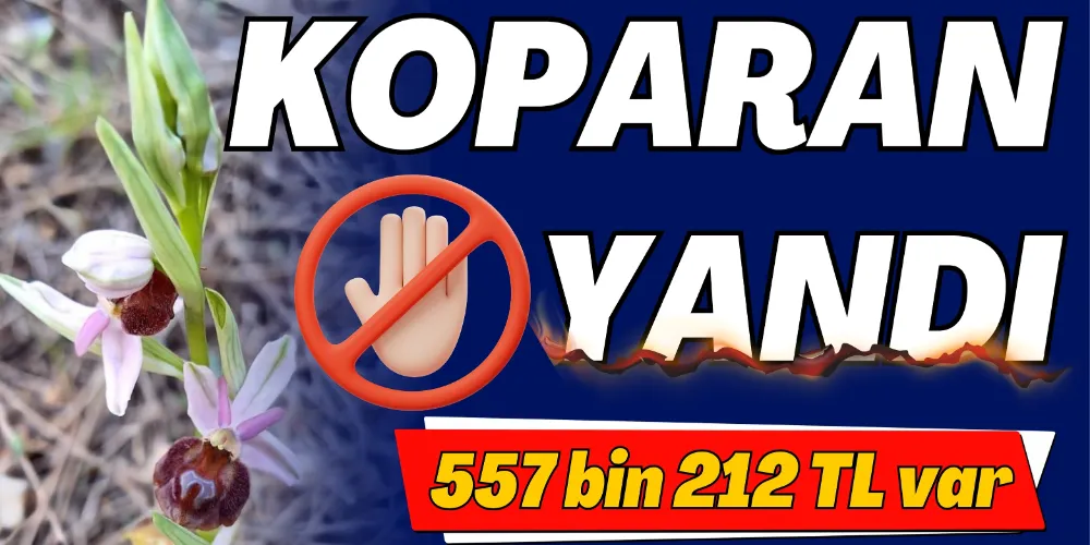 GAZİPAŞA’DA GÖRÜP DE KOPARAN YANDI