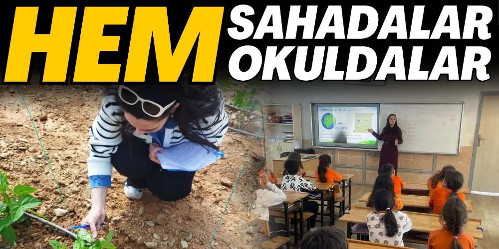 HEM SAHADALAR HEM OKULDALAR