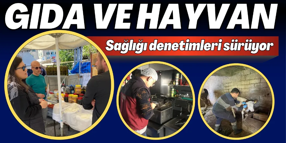 GIDA VE HAYVAN SAĞLIĞI DENETİMLERİ SÜRÜYOR