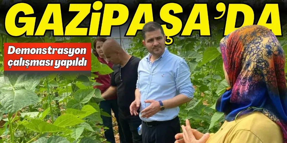 GAZİPAŞA’DA PESTİSİTSİZ ÜRETİM İÇİN DEMONSTRASYON ÇALIŞMASI YAPILDI