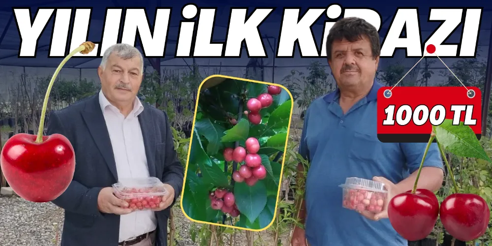 YILIN İLK KİRAZI 1000 TL