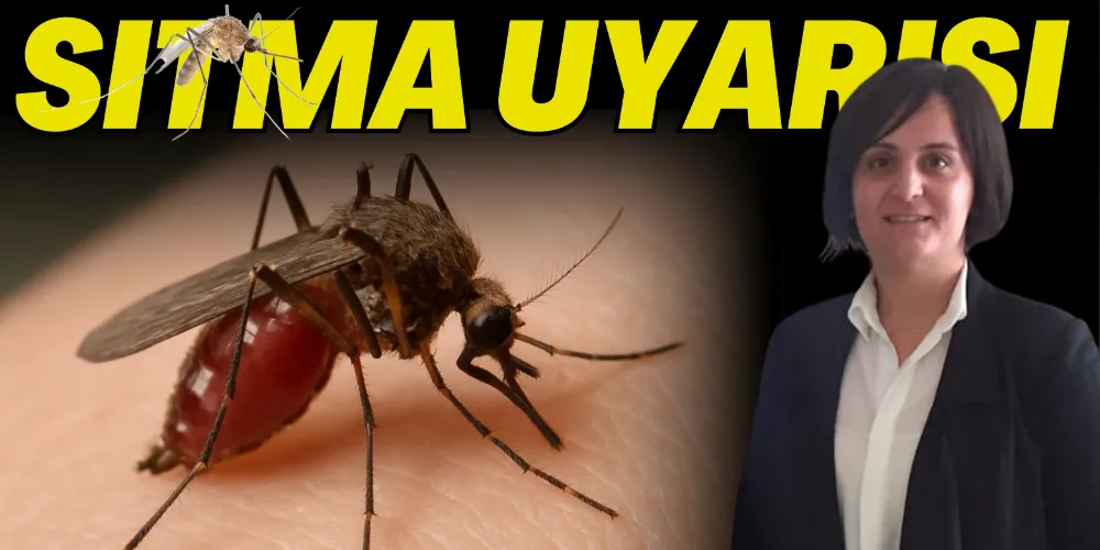 SITMA UYARISI!