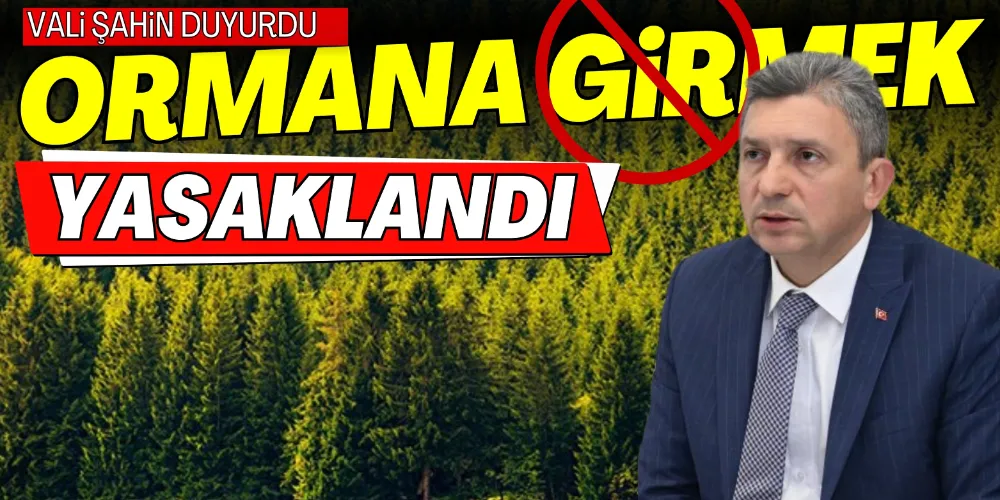 ANTALYA’DA BELİRLİ ALANLAR HARİÇ ORMANLARA GİRİŞLER 1 MAYIS’TAN İTİBAREN YASAK