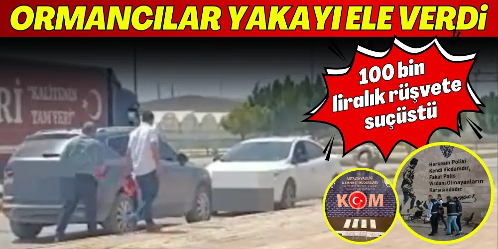 ORMAN ARAZİSİNİ İŞGAL EDENE CEZA YAZMAMAK İÇİN 100 BİN LİRALIK RÜŞVETE SUÇÜSTÜ