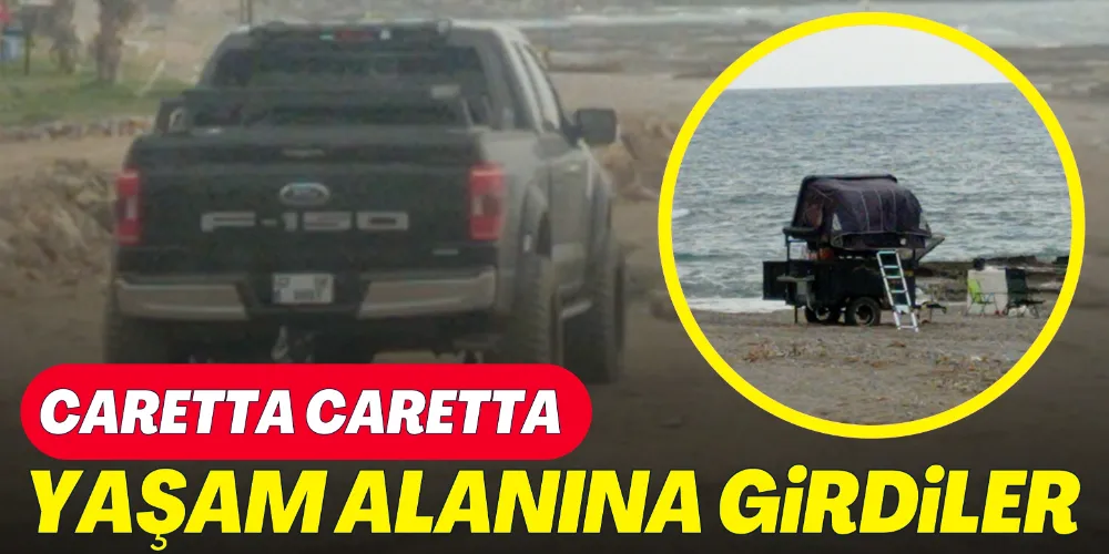 CARETTA YAŞAM ALANINA ARAÇLA GİRDİLER
