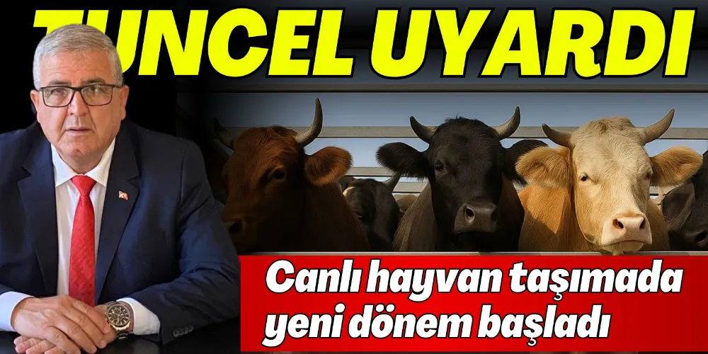 CANLI HAYVAN TAŞIMADA YENİ DÖNEM