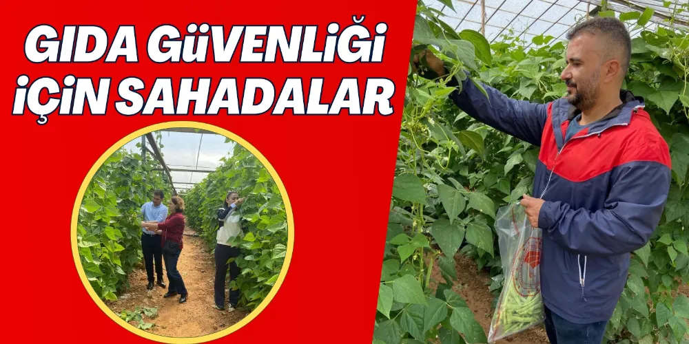 GIDA GÜVENLİĞİ İÇİN SAHADALAR