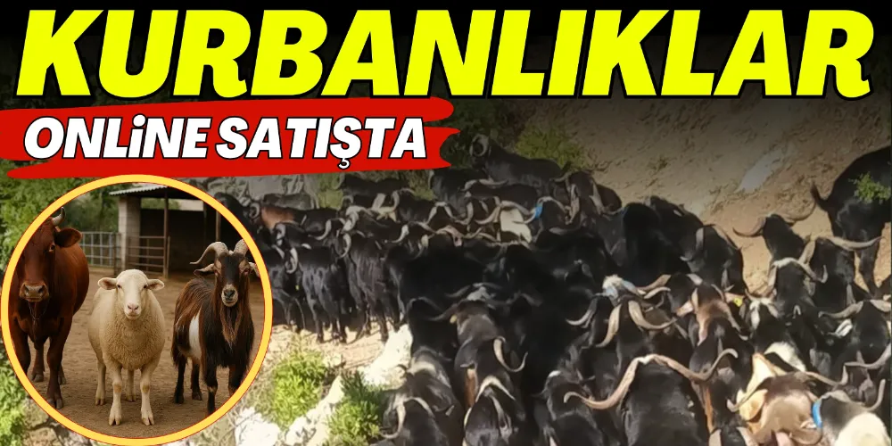 KURBANLIKLAR ONLİNE SATIŞTA