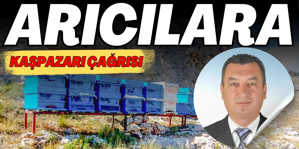 ARICILARA KAŞPAZARI ÇAĞRISI
