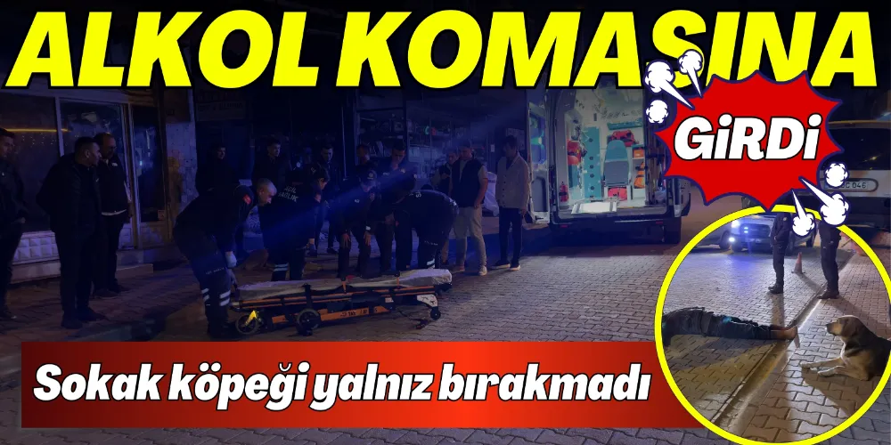 ALKOL KOMASINA GİREN VATANDAŞI SOKAK KÖPEĞİ YALNIZ BIRAKMADI