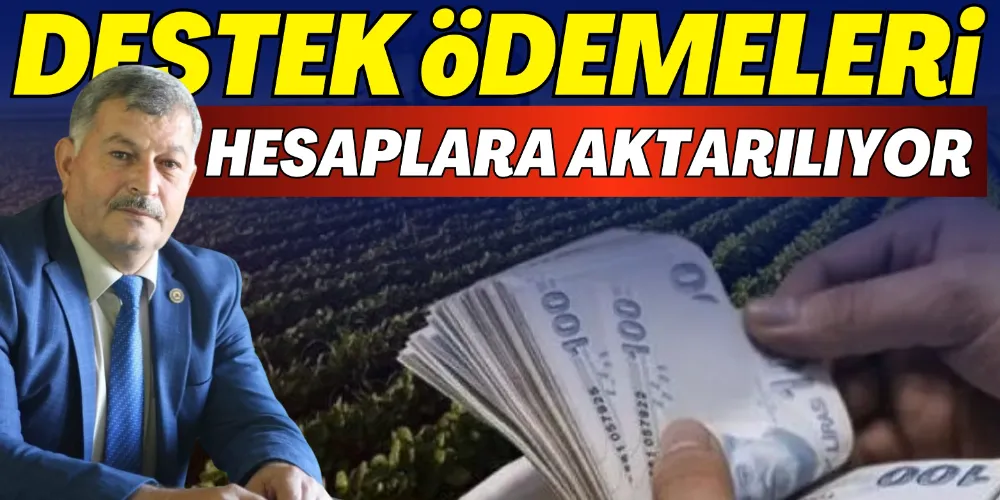 DESTEK ÖDEMELERİ HESAPLARA AKTARILIYOR